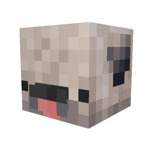 AlveThor Minecraft avatar head, 3D render