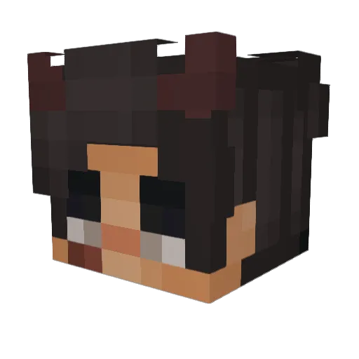 Alven67 Minecraft avatar head, 3D render