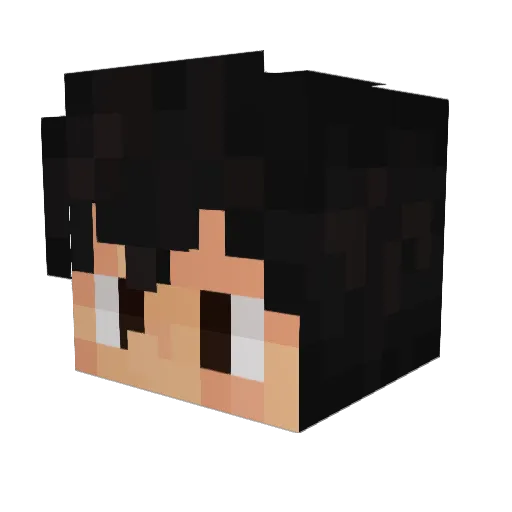 Alvicarp Minecraft avatar head, 3D render