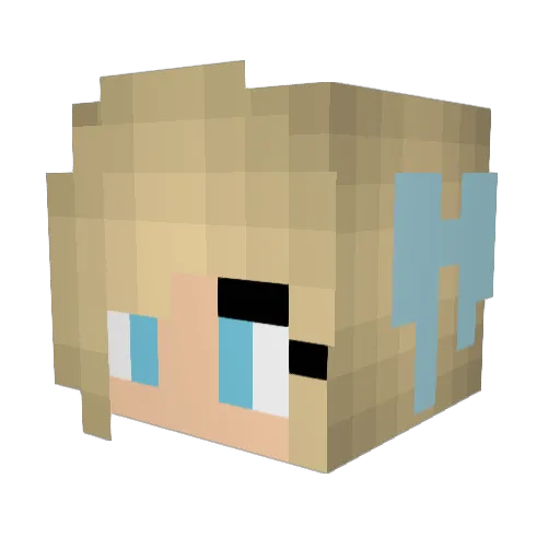 Alvis2004 Minecraft avatar head, 3D render