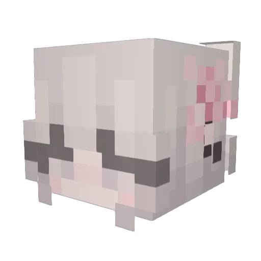 AlwaysConfident Minecraft avatar head, 3D render