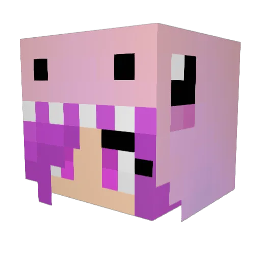AlwaysGamble99 Minecraft avatar head, 3D render
