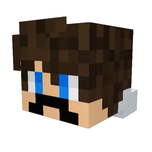 AlwaysHAK Minecraft avatar head, 3D render
