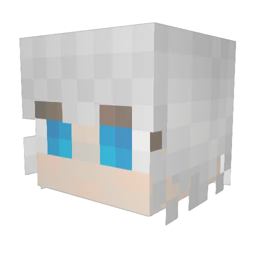 AlwaysSari Minecraft avatar head, 3D render