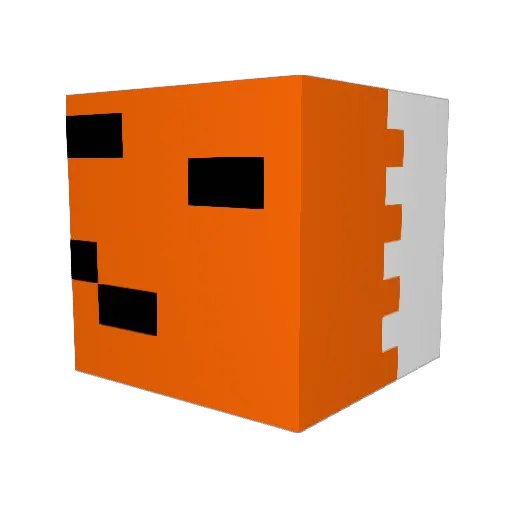 AlwaysWinterDude Minecraft avatar head, 3D render