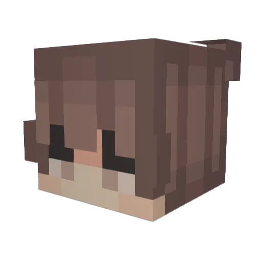 Alwayswishing Minecraft avatar head, 3D render