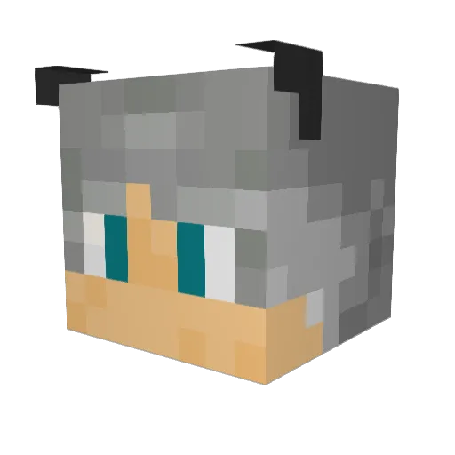 Alwayter Minecraft avatar head, 3D render