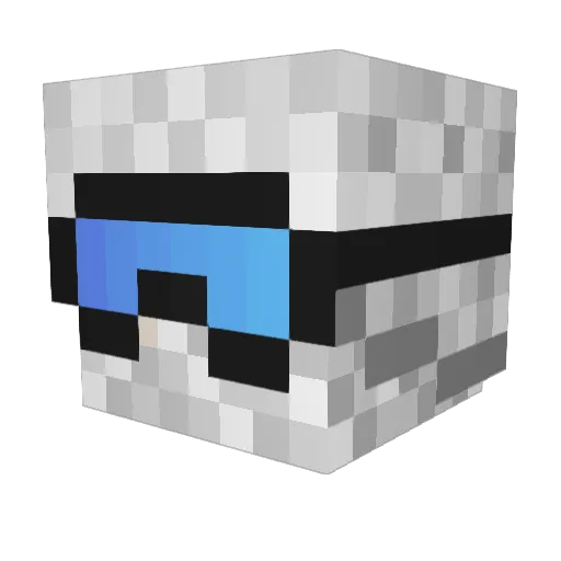 Alwin2004 Minecraft avatar head, 3D render