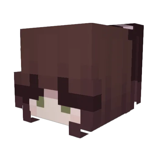 Alwj Minecraft avatar head, 3D render