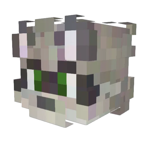 Alwryss Minecraft avatar head, 3D render
