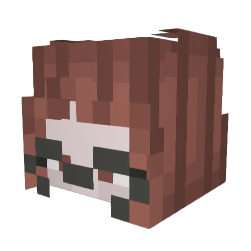 Alx1931 Minecraft avatar head, 3D render