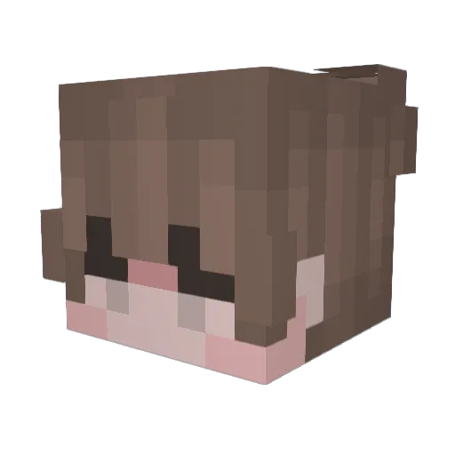Alxiii Minecraft avatar head, 3D render