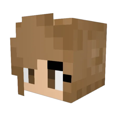 AlyBn27 Minecraft avatar head, 3D render