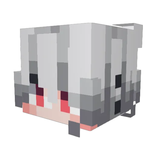 AlyNH Minecraft avatar head, 3D render