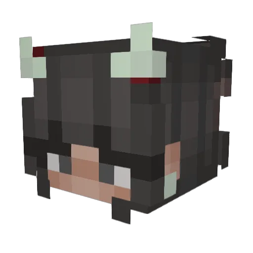 Aly_157 Minecraft avatar head, 3D render