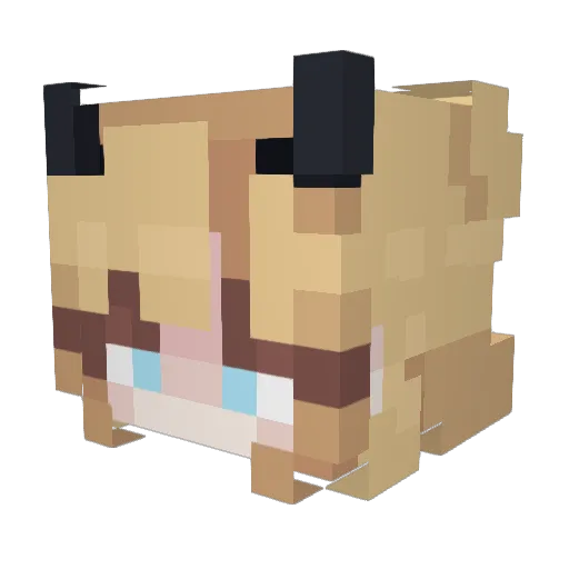 Alya_FemboyBHG Minecraft avatar head, 3D render