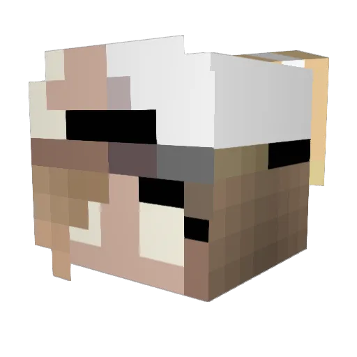 Alykat1020 Minecraft avatar head, 3D render