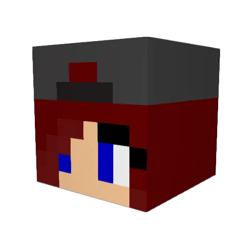 Alymap Minecraft avatar head, 3D render