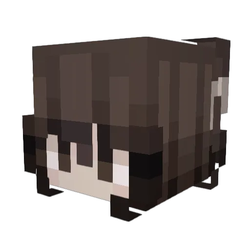 Alynum Minecraft avatar head, 3D render