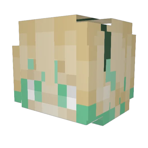 AlyonRye Minecraft avatar head, 3D render