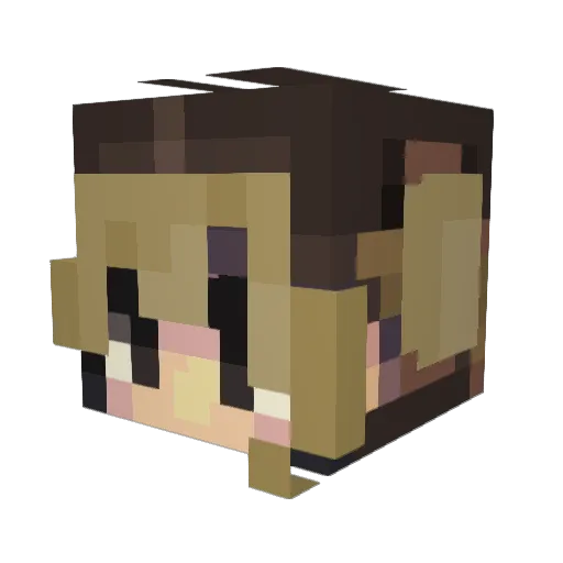 AlysaLiu Minecraft avatar head, 3D render