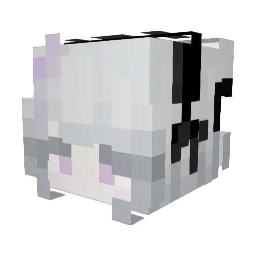 Alysaww Minecraft avatar head, 3D render