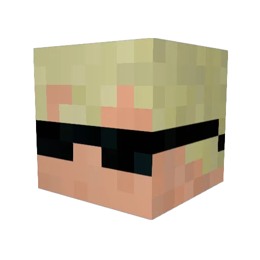 AlysonStaysWoke Minecraft avatar head, 3D render