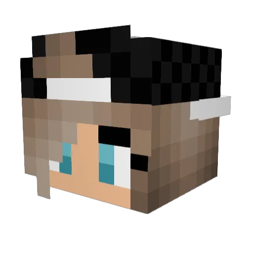 AlyssaLemley Minecraft avatar head, 3D render