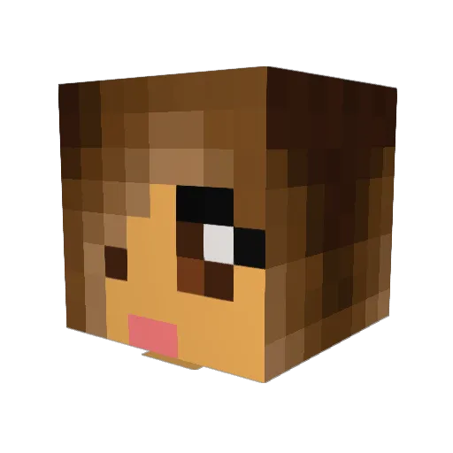 AlyssaPeyton Minecraft avatar head, 3D render