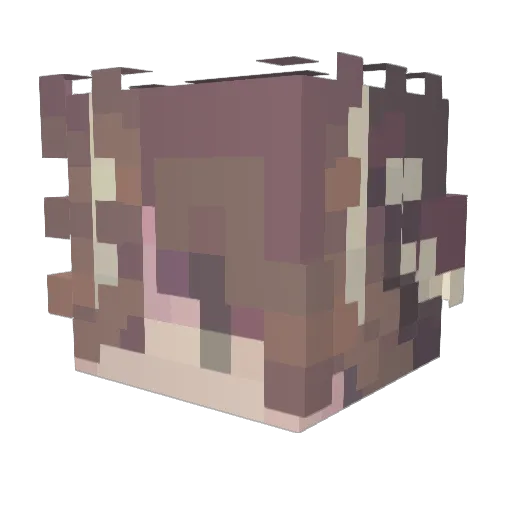 Alyssa_Rayne Minecraft avatar head, 3D render
