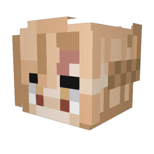 Alyx2302 Minecraft avatar head, 3D render