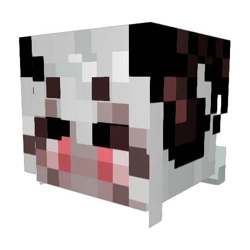 AlyxAoelus Minecraft avatar head, 3D render