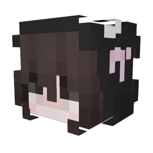AlyxChan Minecraft avatar head, 3D render