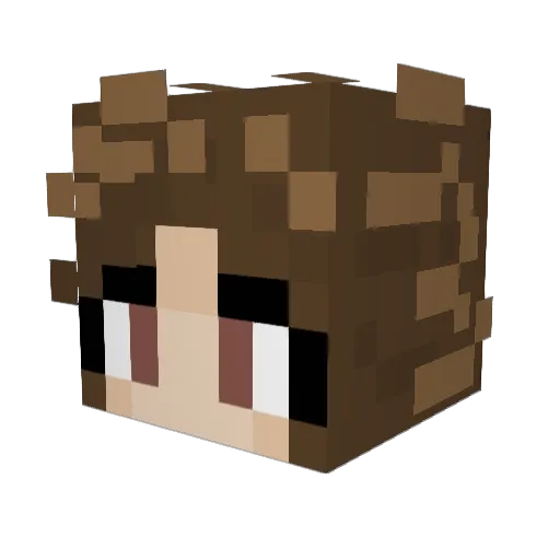 Alyxfromthefutur Minecraft avatar head, 3D render