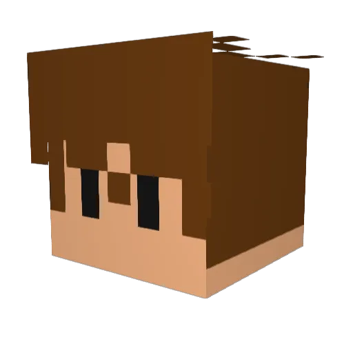 Alyyan Minecraft avatar head, 3D render