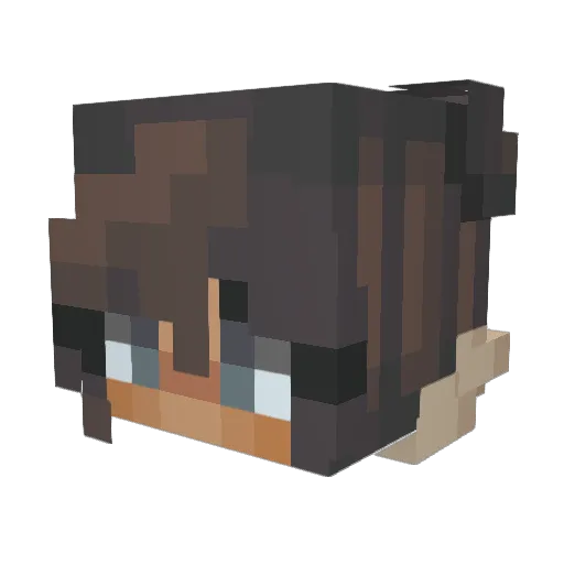 Alyzee2012 Minecraft avatar head, 3D render