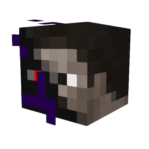 Am3rykanczyk_ Minecraft avatar head, 3D render