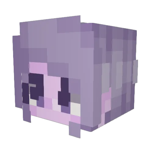 Am3thyst_Rose Minecraft avatar head, 3D render