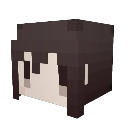 AmAdTK Minecraft avatar head, 3D render
