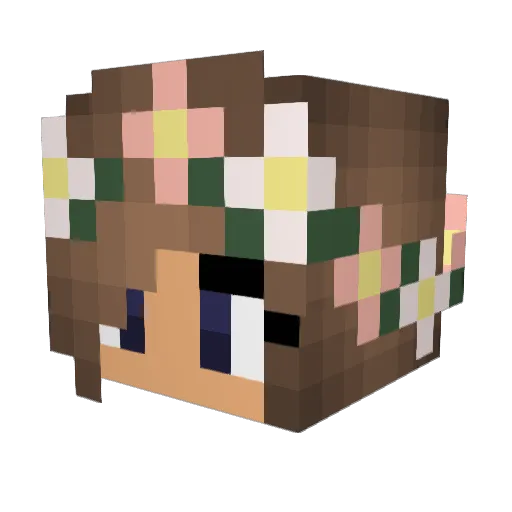 AmDawg9 Minecraft avatar head, 3D render