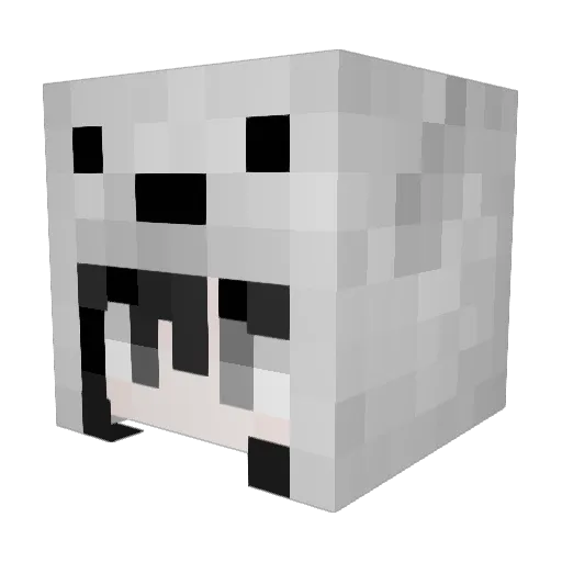 AmFearOFdeath Minecraft avatar head, 3D render