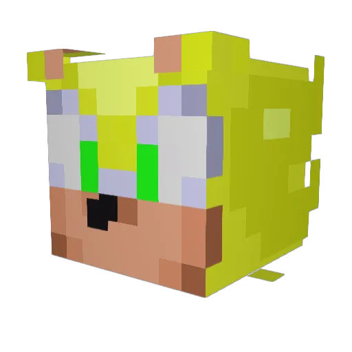 AmIturtleEnough Minecraft avatar head, 3D render