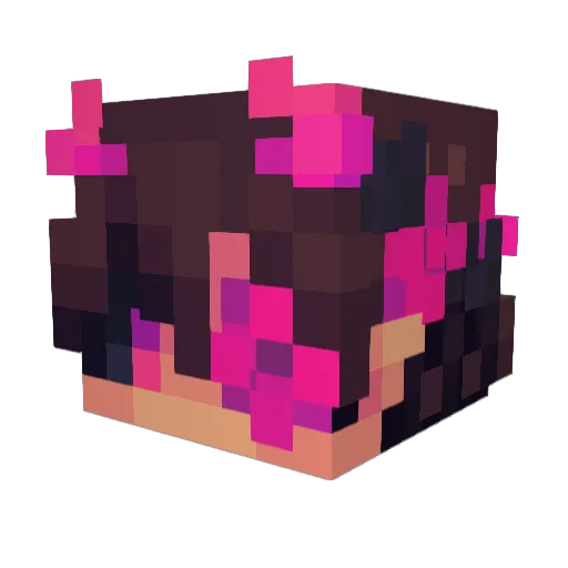 AmStrafe Minecraft avatar head, 3D render