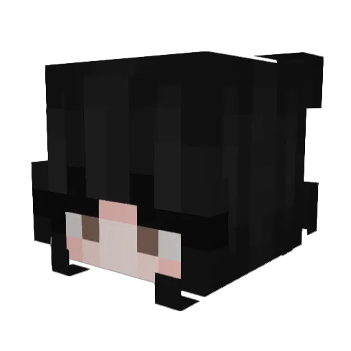 AmWinnie Minecraft avatar head, 3D render