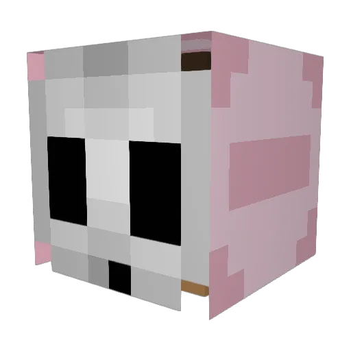 Am_An_Entity Minecraft avatar head, 3D render