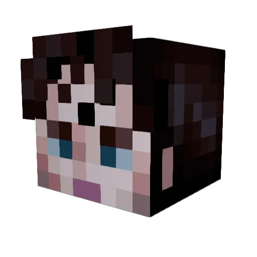 Am_Toaster Minecraft avatar head, 3D render