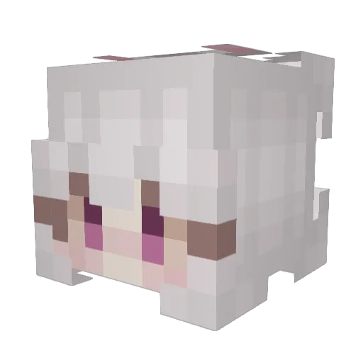 AmaCherri Minecraft avatar head, 3D render