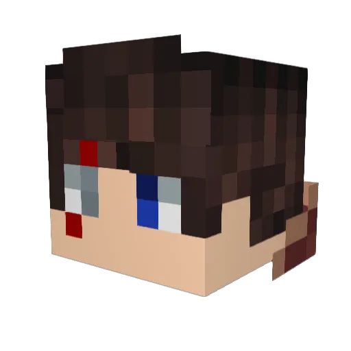Amadeusz134 Minecraft avatar head, 3D render