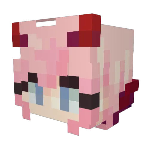Amake_A_wishKid Minecraft avatar head, 3D render