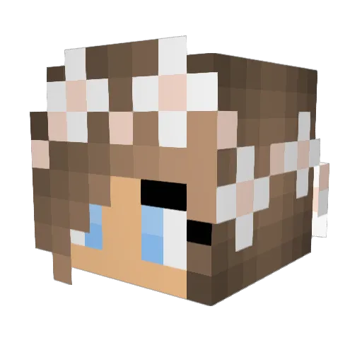 AmalieSahlin Minecraft avatar head, 3D render